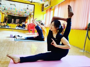 500 Hrs Therapy Yoga and 300 Hrs Advance Hatha Yoga TTC in Chennai (Apr - May 2016)